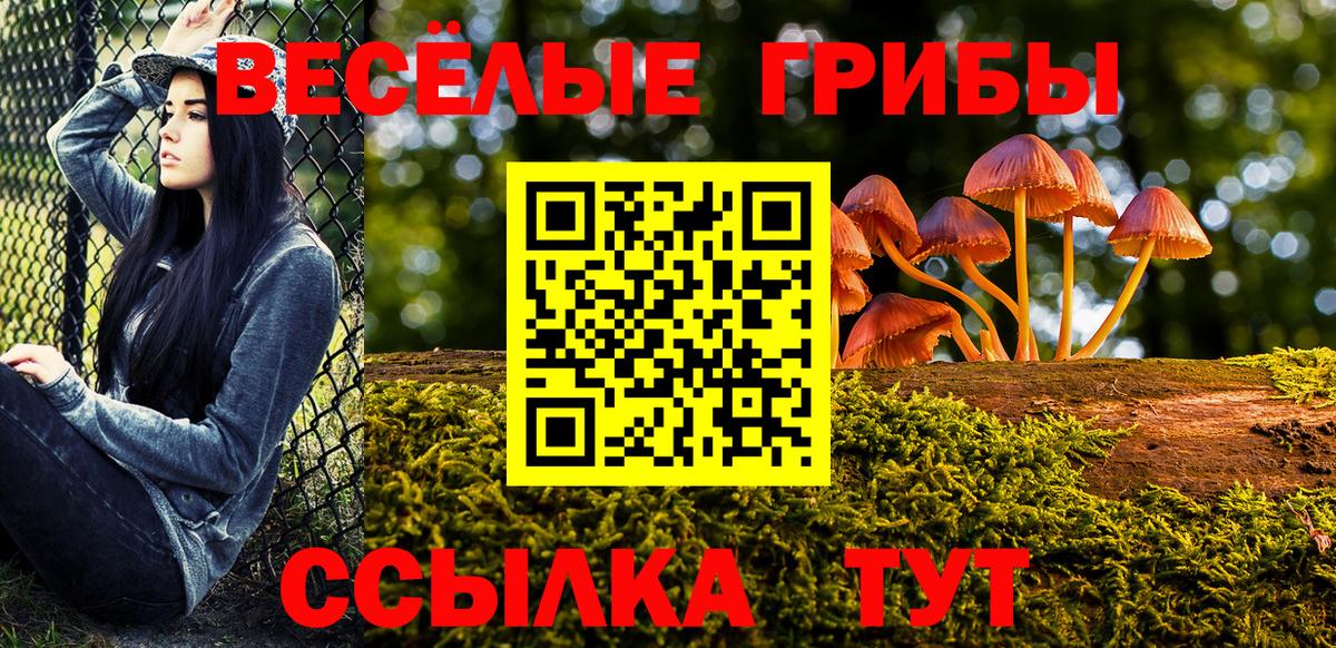 Псилоцибиновые грибы MAGIC MUSHROOMS Вязники