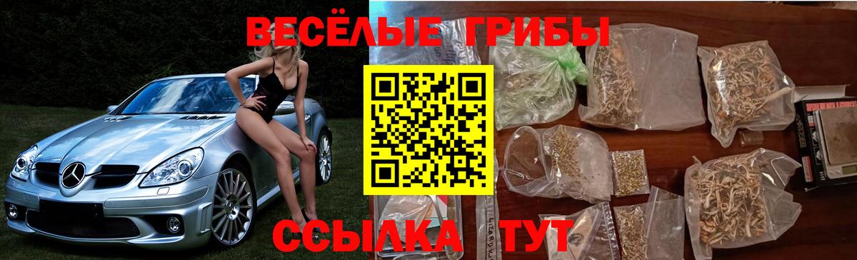 Галлюциногенные грибы MAGIC MUSHROOMS  Псилоцибиновые грибы Cubensis  Вход с VPN  цена   Вязники 